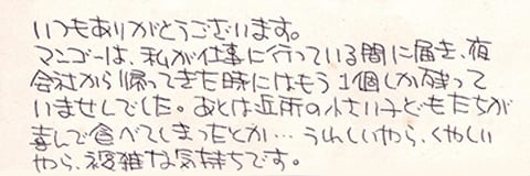 お客様の声